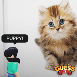 Guess It: Images Codes
